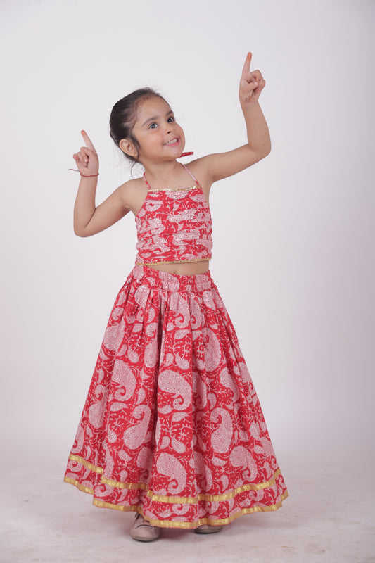 Skirt and top -red paisley