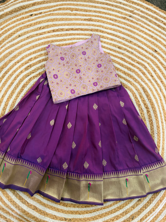 Ethnic skirt and top -purple and lilac