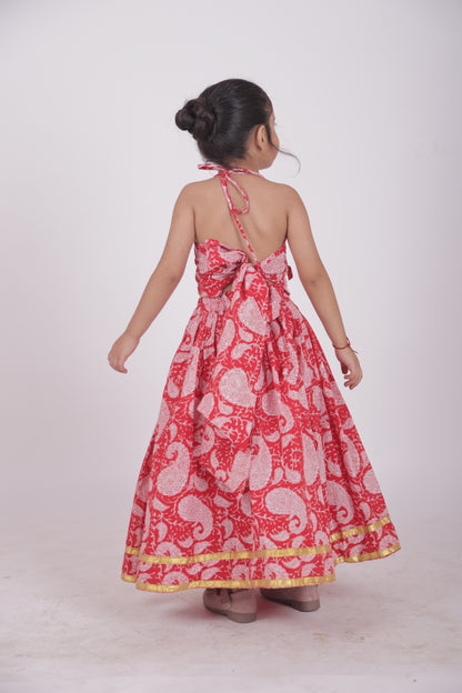 Skirt and top -red paisley