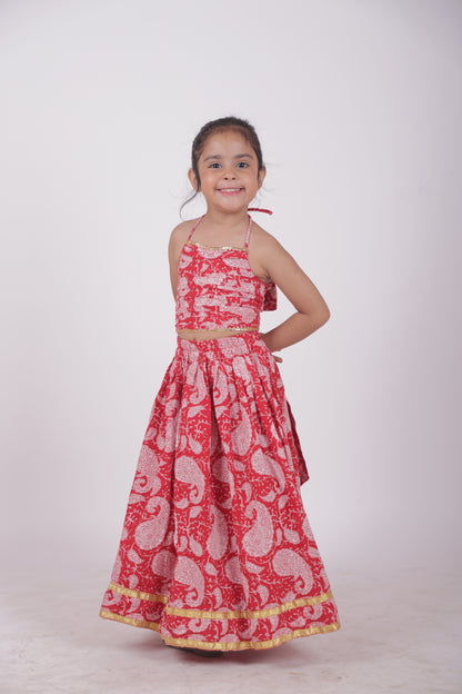 Skirt and top -red paisley