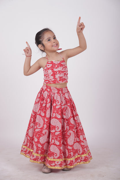 Skirt and top -red paisley