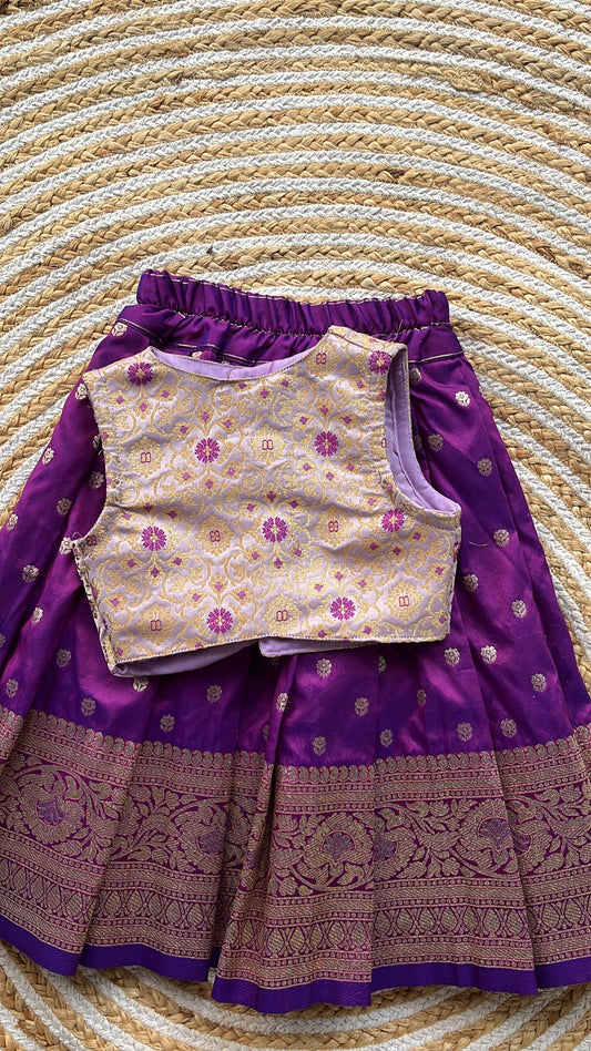 Ethnic skirt and top- lilac
