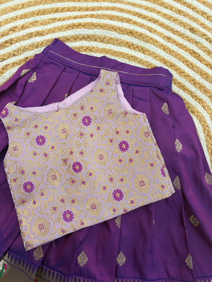 Ethnic skirt and top -purple and lilac