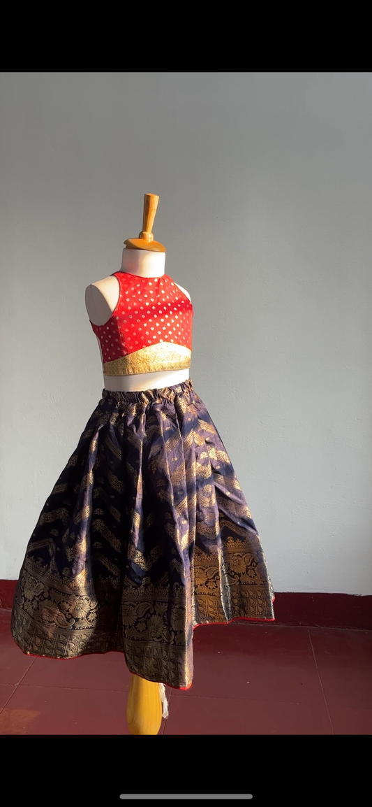 Ethnic skirt and top- blue and red