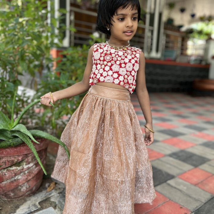 Ethnic skirt and top-banarasi skirt and embroidery top