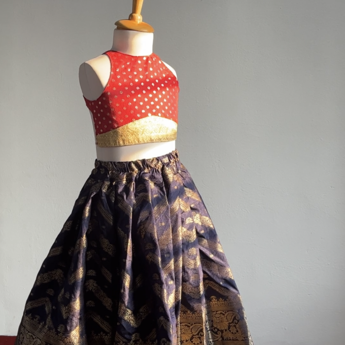 Ethnic skirt and top-navy blue n  red